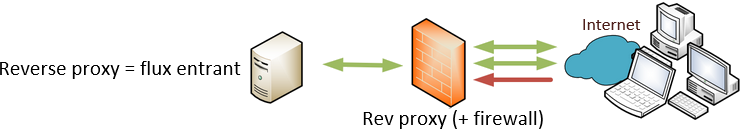 reverse proxy